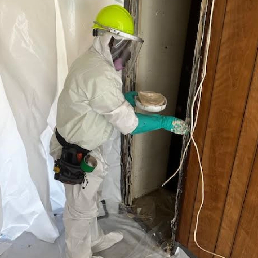 asbestos inspector